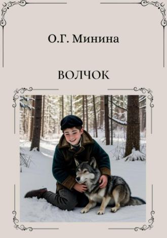 Волчок, audiobook Ольги Георгиевны Мининой. ISDN70299889