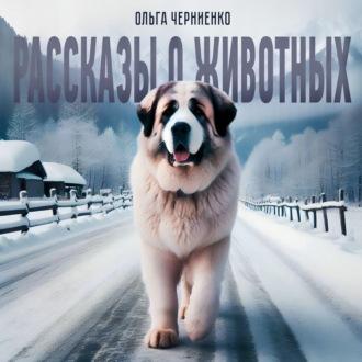 Рассказы о животных, książka audio Ольги Черниенко. ISDN70301122