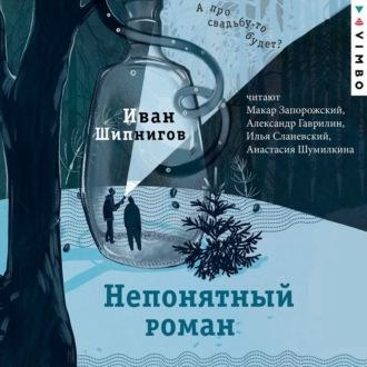 Непонятный роман, аудиокнига Ивана Шипнигова. ISDN70302430