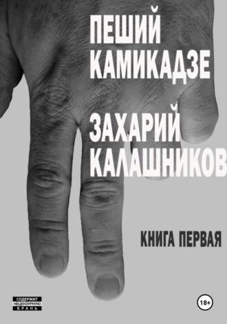 Пеший камикадзе. Книга первая, audiobook Захария Калашникова. ISDN70304155