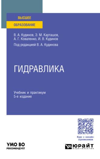 Гидравлика 5-е изд., пер. и доп. Учебник и практикум для вузов - Василий Кудинов