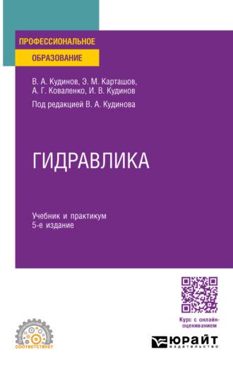 Гидравлика 5-е изд., пер. и доп. Учебник и практикум для СПО - Василий Кудинов