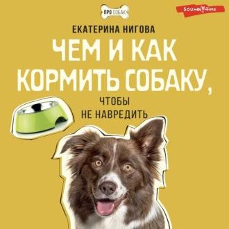 Чем и как кормить собаку, чтобы не навредить - Екатерина Нигова