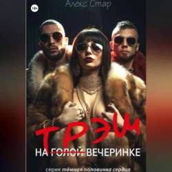 Трэш на вечеринке, аудиокнига Алекса Стара. ISDN70356367