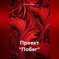 Проект «Побег», książka audio Татьяны Александровны Силецкой. ISDN70373260
