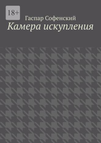 Камера искупления, аудиокнига Гаспара Софенского. ISDN70374082