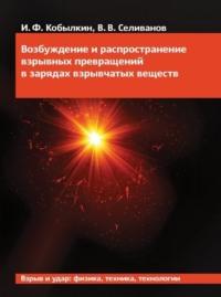 Возбуждение и распространение взрывных превращений в зарядах взрывчатых веществ - Иван Кобылкин