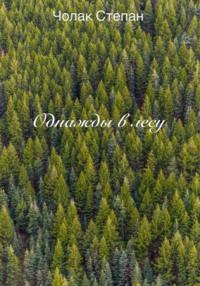 Однажды в лесу, audiobook Степана Дмитриевича Чолака. ISDN70413097