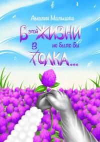 В этой жизни не было бы толка…, аудиокнига Амалии Мальцевой. ISDN70428526