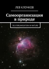 Самоорганизация в природе. Selforganisation in Nature - Лев Клочков