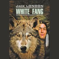 White Fang / Белый Клык. Книга для чтения на английском языке, Джека Лондона książka audio. ISDN70429741