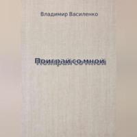 Поиграй со мной, аудиокнига Владимира Юрьевича Василенко. ISDN70430269