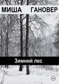 Зимний лес, książka audio Миши Гановера. ISDN70432435