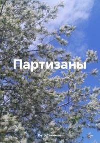 Партизаны, audiobook Петра Санникова. ISDN70448614