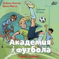 Академия футбола. Глупая травма, audiobook Андреаса Шлютера. ISDN70470883