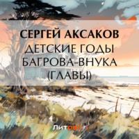 Детские годы Багрова-внука (Главы), audiobook Сергея Аксакова. ISDN70478287