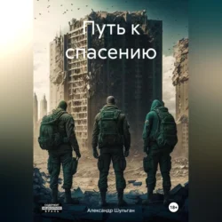 Путь к спасению, audiobook Александра Шульгана. ISDN70494421