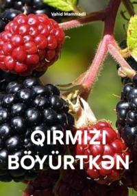 QIRMIZI BÖYÜRTKƏN, audiobook . ISDN70509559