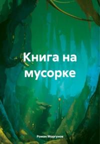 Книга на мусорке, аудиокнига Романа Владимировича Моргунова. ISDN70510747