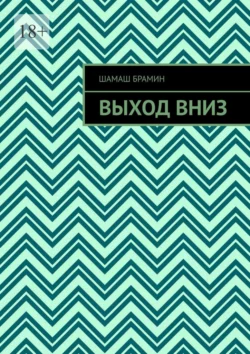 Выход вниз, аудиокнига Шамаша Брамин. ISDN70521247