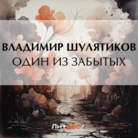 Один из забытых, audiobook Владимира Михайловича Шулятикова. ISDN70524118