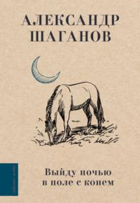 Выйду ночью в поле с конем, аудиокнига Александра Шаганова. ISDN70532830