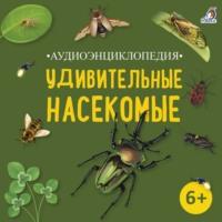 Аудиоэнциклопедия. Удивительные насекомые, аудиокнига Александра Тихонова. ISDN70543357