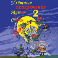 Улётные приключения Миши и Сашки 2, audiobook Николая Витальевича Щекотилова. ISDN70551373