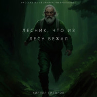 Лесник, что из лесу бежал - Кирилл Сидоров