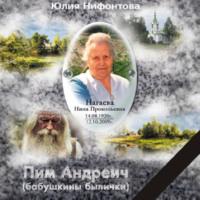Пим Андреич, audiobook Юлии Анатольевны Нифонтовой. ISDN70572208