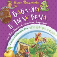 Баба-яга в тылу врага, или Как выжить в каменных джунглях, książka audio Ольги Несмеяновой. ISDN70586392