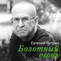 Болотный огонь - Евгений Чигрин