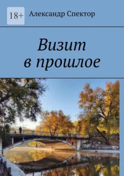 Визит в прошлое - Александр Спектор