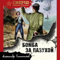 Бомба за пазухой, audiobook Александра Тамоникова. ISDN70612819