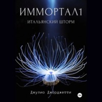 Иммортал1. Итальянский шторм, audiobook Джулио Джорджетти. ISDN70616503