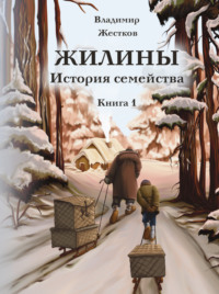 Жилины. История семейства. Книга 1, аудиокнига Владимира Жесткова. ISDN70629871