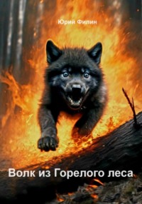 Волк из Горелого леса - Юрий Филин