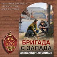 Бригада с запада, audiobook Александра Тамоникова. ISDN70651858