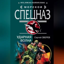 Ударная волна, audiobook Сергея Зверева. ISDN70688755