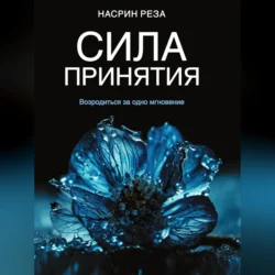 Сила принятия. Возродиться за одно мгновение, аудиокнига Насрина Резы. ISDN70700794