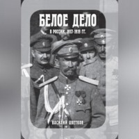 Белое дело в России: 1917-1919 гг., audiobook В. Ж. Цветкова. ISDN70701043