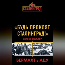 «Будь проклят Сталинград!» Вермахт в аду - Вигант Вюстер