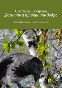 Догнать и причинить добро. Философские сказки о любви и мудрости, аудиокнига Светланы Захаровой. ISDN70708303