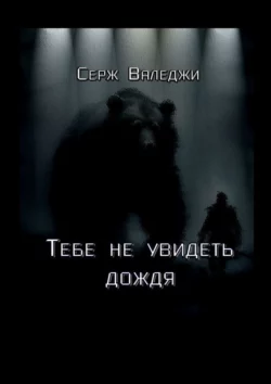 Тебе не увидеть дождя, аудиокнига Сержа Валеджи. ISDN70709179