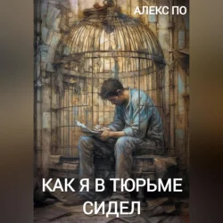 Как я в тюрьме сидел, audiobook Алекса По. ISDN70716202