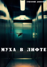 Муха в лифте - Григорий Домрачев