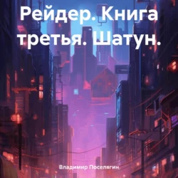 Рейдер. Книга третья. Шатун. - Владимир Поселягин