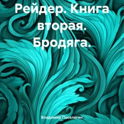 Рейдер. Книга вторая. Бродяга. - Владимир Поселягин