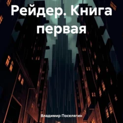 Рейдер. Книга первая - Владимир Поселягин