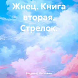 Жнец. Книга вторая. Стрелок. - Владимир Поселягин